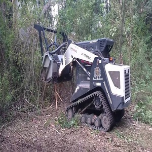 Reliable Terex Skid Steer Loader With Mulcher For Clearing Thick <b>Brush</b> Trees And Overgrown Property Areas - Product Image 6