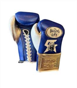Guantes de Entrenamiento Profesionales No Boxing No Life con Cordones, Calidad Premium, 100% Cuero Genuino, Logotipo y Diseño Personalizados - Product Image 1