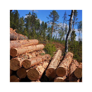 Madera blanda de alta demanda KVH, madera estructural ideal para constructores, contratistas y proyectos industriales - Product Image 2