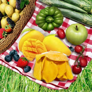 SNACK DE MANGO DESECADO MASTICABLE VDELTA VIETNAM EXPORT Rebanadas suaves con gran sabor Sabor dulce Empaquetado en bolsa - Product Image 6