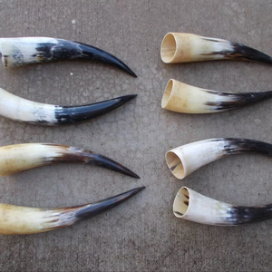 Paire de cornes de bison polies, décoration murale, design Art Déco, grande taille de 27 à 35 pouces, pour mariage, anniversaire - Product Image 1