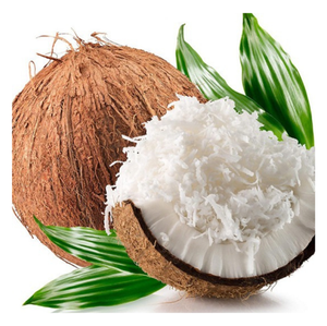 Coco Deshidratado Natural Sin Azúcar – Calidad de Exportación de Grado Alimenticio |   Suministro al por Mayor - Product Image 1