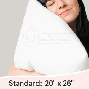 Protector de Almohada Impermeable de Alta Calidad con Tela Suave y Transpirable, Cierre Seguro, Estilo Sencillo, Uso Doméstico y Opciones Personalizables - Product Image 2