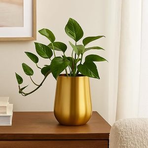 Pot de fleurs en métal doré pour plantes d'intérieur, pot de fleurs décoratif, pot rond moderne, conteneur pour plantes, décoration de table pour la maison, le jardin, le bureau - Product Image 4