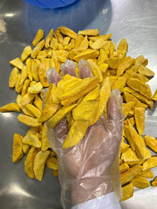 Freeze-<b>Dried</b> <b>Mango</b> Chips Freeze-<b>Dried</b> <b>Mango</b> Slices Freeze-<b>Dried</b> <b>Mango</b> Chunks/Dices - Product Image 2
