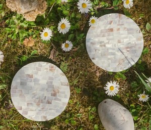 Set of 4 Luxury Mother of Pearl <b>Coasters</b> Round Yellow Shell Mosaic <b>Drink</b> <b>Coaster</b> Mat For Home Restaurant Decor Wholesale - Product Image 4