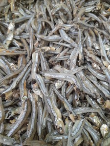 Anchoas Enteras Secas al Sol, Origen Vietnam, Mariscos para Servicios de Alimentación, Cadenas de Comercio Minorista y Distribuidores - Product Image 1