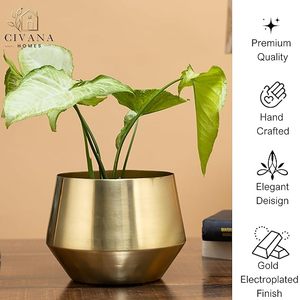 Pot de fleurs moderne en laiton, conteneur pour plantes d'intérieur, design minimaliste, finition chromée, décoration de bureau, finition dorée - Product Image 4