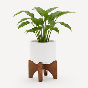 Top Quality Wooden Plant Stand Handcrafted Acacia Wood Planter Holder <b>for</b> Indoor Decor Design Small Wood <b>Stool</b> Riser - Product Image 5