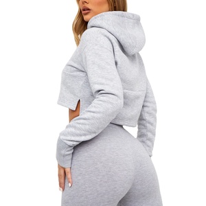Haute qualité vêtements de rue pull femmes Crop Gym à capuche tenue décontracté respirant en gros vente chaude taille personnalisée sweats à capuche pour femmes - Product Image 4