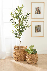 Variety Decor Styles Bohemian Coastal Modern Minimalist Eco-Friendly Multifunction Decorative Accent Water Storage <b>Basket</b> - Product Image 5