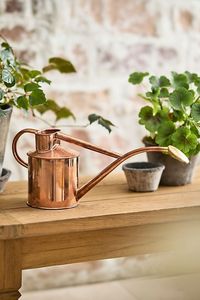 Regadera Moderna Decorativa para Flores, Elegante Regadera con Pulverizador en Oferta por Exportador - Product Image 6