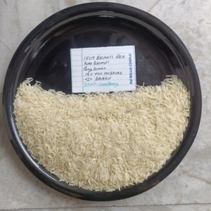 Arroz Basmati Orgánico de Grano Largo LyonsBarry Premium 1509 Haryana 95% en Bolsas de BOPP/Yute, Calidad de Exportación Certificada, 5 Años de Duración - Product Image 2