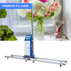 Láser perfecto-Sistema de control LCD de alta velocidad de doble cabezal Papel tapiz compacto vertical 3D Impresión de murales Precio de impresoras de pared