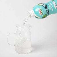 Eau de Coco 1L du Vietnam, Bouteille, Eau Électrolytique Naturelle de Jeune Noix de Coco Verte Biologique, Prix de Gros/Marque Privée