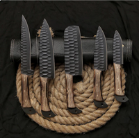 Ensemble de couteaux en acier damas à 67 couches, 5 pièces, manches en bois, lames aiguisées faites à la main de 6 à 7,9 pouces, couteaux de chef ambidextres pour la cuisine