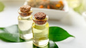 Aceite de árbol de té natural de alta calidad de Kdm Enterprises para aromaterapia, cuidado de la piel, cosméticos y cuidado personal en grandes cantidades. - Product Image 2
