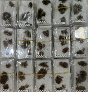 Extensiones de Pestañas Preformadas de Colores, Pestañas Sintéticas Naturales Largas Mixtas CC/DD/M/L, Curvatura Marrón Súper Negro 0.03mm-0.07mm - Product Image 6