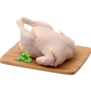 Proveedor Premium de Pollo Entero Congelado Halal, Carne Procesada de Pollo Halal, Pollo Entero - Product Image 3
