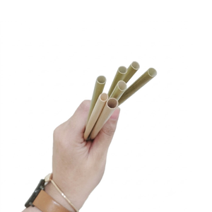 Pajitas Desechables de Hierba Natural con Material No Tóxico, Pajitas Biodegradables Ecológicas de Eco2go Vietnam - Product Image 1