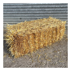 Paille de paille de qualité supérieure disponible pour l'achat en gros et la fourniture commerciale - Product Image 6