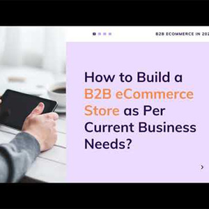Client B2B Wholesale <b>Hub</b> UI UX Layout Web Architecture Responsive ECommerce Storefront Creation - Product Image 5