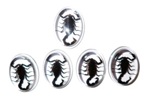 Escorpión Negro, Espécimen Real, Cabujón de Plástico Ovalado de 31x41 mm, Base Plana Transparente para Manualidades y Joyería - Product Image 5