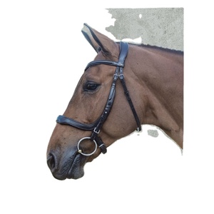 Brida islandesa de charol negro duradero para montar a caballo Brida de doma cómoda Diseño ligero Rub International - Product Image 5