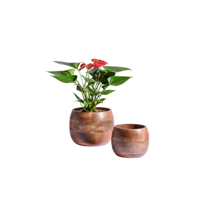 Pot de plante en bois pour une décoration intérieure naturelle, alliant design minimaliste et artisanat du bois durable - Product Image 5