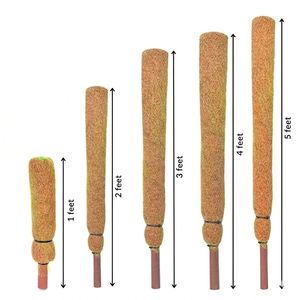 Poste de Coco Natural de 4 Pies (48 Pulgadas) para Plantas Trepadoras - Product Image 2