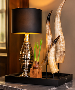 Décoration murale western artisanale en corne de bœuf naturelle polie et rustique, paire de cornes Longhorn montées avec revêtement en cuir et support en bois - Product Image 1