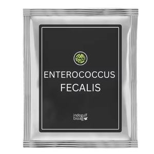 Marca IGC, Polvo de Streptococcus Faecalis de Alta Calidad, Grado Alimenticio, 5-100 Mil Millones de UFC/g, al Mejor Precio - Product Image 1