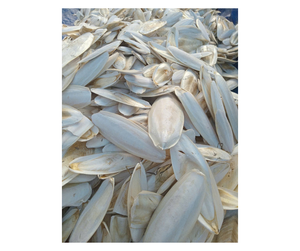 กระดูกปลาหมึกแห้งเกรดส่งออกสำหรับผู้ค้าส่งระดับโลก - Product Image 1