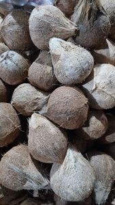 Noix de coco brune décortiquée du Vietnam – Fournisseur fiable pour les fabricants alimentaires (WA +84914319488) - Product Image 3