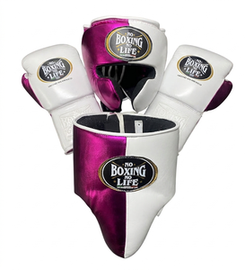 <b>Boxing</b> Athlete Training Kit with Protective Head Guard Groin Guard and Quality Gloves - Product Image 6