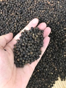 พริกไทยดำ ราคาถูกที่สุดจากเวียดนาม ผู้จัดจำหน่ายที่เชื่อถือได้ ติดต่อคุณโดริส +84 35 254 2206 - Product Image 4