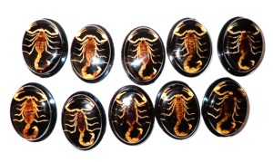 Escorpión Dorado, Espécimen Real, Cabujón de Plástico Ovalado de 31x41 mm, Base Plana Negra para Manualidades y Joyería - Product Image 4