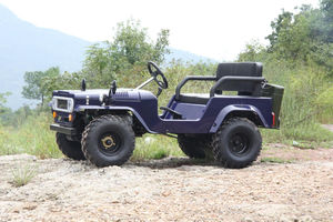 Mini UTV Willys 125cc d'usine d'origine, 2 places, 2 roues motrices et 4 temps, pour enfants et adultes - Product Image 2