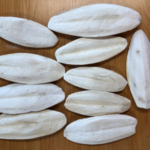 Hueso de Sepia para Mascotas de Vietnam a Bajo Precio - Hueso de Sepia Seco en Polvo/ Sra. LiLy - Product Image 1