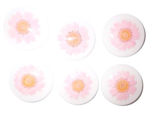Flor de margarita de Snowland, espécimen real en cabujón de plástico redondo de 38x38 mm, base plana blanca para manualidades y fabricación de joyas - Product Image 1