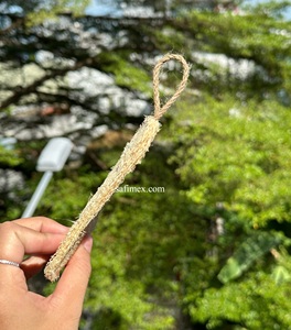 Esponjas de Luffa Orgánicas Naturales para el Cuerpo, Tamaño Personalizado, Esponjas de Baño y Cocina, Esponjas Redondas de Luffa, Embalaje OEM de Vietnam - Product Image 4