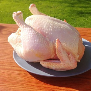 เนื้อไก่แช่แข็ง คอไก่ ขาไก่ ปีกไก่ แบบทั้งชิ้น บรรจุในขวดโหล คุณภาพพรีเมียม ขายส่ง จัดส่งรวดเร็ว ปรุงสุกแล้ว - Product Image 2