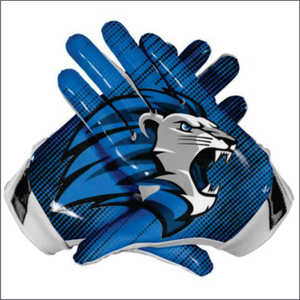 Service OEM, gants de football américain de qualité supérieure, robustes, nouveau style, respirants, en latex imperméable, pour les sports de plein air - Product Image 5