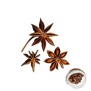 Anís estrellado a granel de calidad internacional, el más vendido en Vietnam, a precio competitivo - Product Image 3