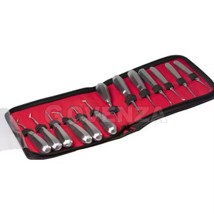 Juego Profesional de Elevadores Dentales Manuales de 13 Piezas, Herramientas de Acero Inoxidable con Agarre Ergonómico para Procedimientos de Extracción Dental - Product Image 3
