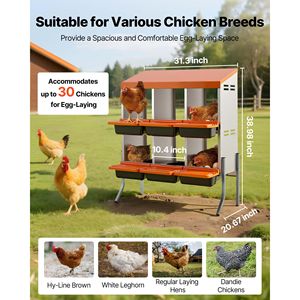 Nidi per Galline in Plastica ad Alta Resistenza, 6 Scomparti, Gambe di Supporto, Facile Raccolta delle Uova, Acciaio Zincato, Nuovo - Product Image 2