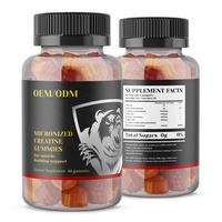Complément Immunitaire en Gros OEM, Bonbons Gélifiés à la Créatine, Marque Privée, Nutrition Sportive en Vrac pour Adultes