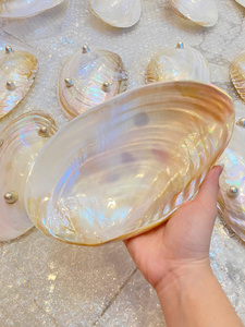 Glam Shell Spoon Mother Of Pearl <b>Mirror</b> Polish Durable Eco Friendly Wholesale Bulk Supply - Product Image 4