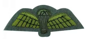 Badges brodés sur mesure de luxe OEM avec fil de bullion – Résistants à l'eau, écologiques, effet 3D en relief, à coudre - Product Image 4