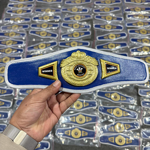 Crea tu propio logo, cinturón mini a precio económico, ligero, duradero, para lucha libre, boxeo, artes marciales mixtas, cinturones de campeonato para niños. - Product Image 1